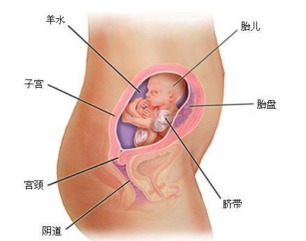 藥物流產(chǎn),會(huì)對(duì)女人有哪些傷害