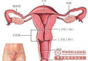 金華輸卵管檢查費用