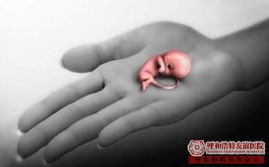 藥流后用不用臥床休息 不看會后悔的 藥流后用不用臥床休息 不看會后悔的